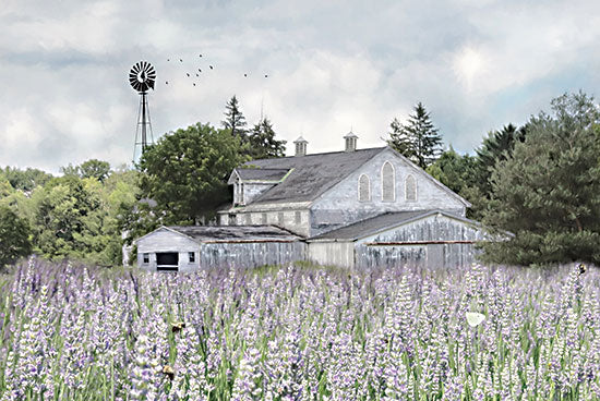 Lori Deiter LD2717 - LD2717 - Rustic Country Life - 18x12 Farm, Barn, White Barn, Windmill, Lavender, Photography, Flowers from Penny Lane
