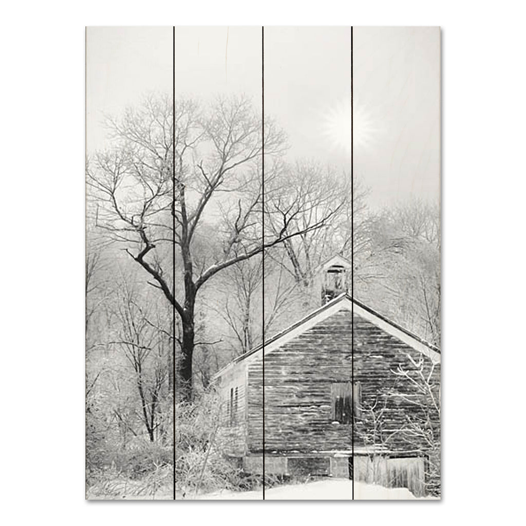 Lori Deiter LD2745PAL - LD2745PAL - Deserted Schoolhouse - 12x16 Schoolhouse, Deserted, Abandoned, Photography, Black & White, Winter, Snow from Penny Lane