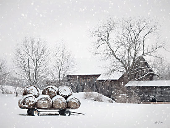 Lori Deiter LD2746 - LD2746 - Winter Food - 18x12 Farm, Haybales, Wagon, Winter, Photography, Snow, Landscape from Penny Lane