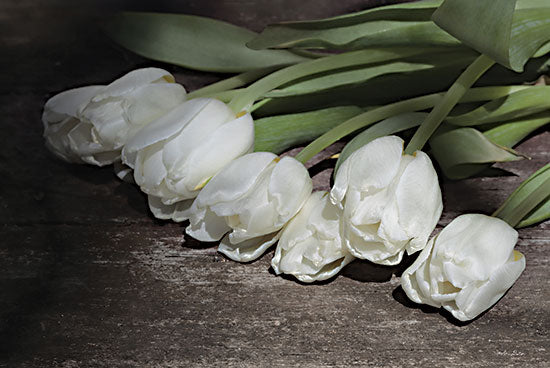 Lori Deiter LD2767 - LD2767 - Gathered Tulips - 18x12 Tulips, White Tulips, Flowers, Blooms, Bouquet, Botanical, Photography from Penny Lane