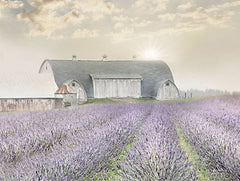 LD2772 - Lavender Morning - 16x12