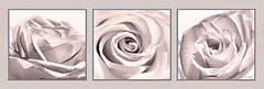 LD2793A - Pale Rose Trio - 36x12