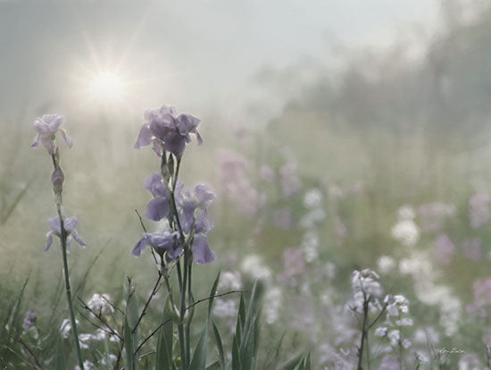 Lori Deiter LD2807 - LD2807 - Spring Bling - 16x12 Flowers, Purple Flowers, Spring, Springtime, Photography from Penny Lane