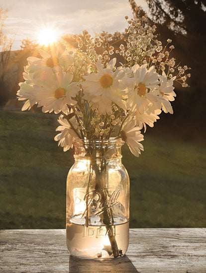 Lori Deiter LD2816 - LD2816 - Morning Daisies I - 12x16 Photography, Flowers, Daisies, Ball Jar, Country, Nature from Penny Lane