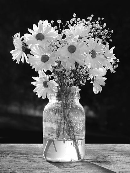 Lori Deiter LD2817 - LD2817 - Morning Daisies II - 12x16 Photography, Flowers, Daisies, Ball Jar, Country, Black & White from Penny Lane