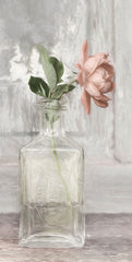LD2818 - Cottage Peach Rose - 9x18