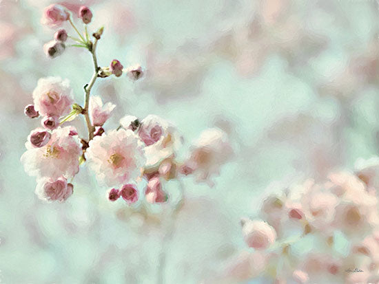 Lori Deiter LD2826 - LD2826 - Pastel Weeping Cherry Blossom I - 16x12 Cherry Blossoms, Cherry Blossom Trees, Photography, Spring, Pastel from Penny Lane