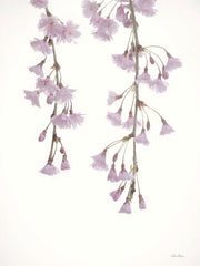 LD2828 - Weeping Cherry on White I - 12x18