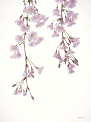LD2829 - Weeping Cherry on White II - 12x18