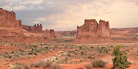 Lori Deiter LD2847 - LD2847 - Dusty Desert III - 18x9 Desert, Landscape, Photography, Shrubs from Penny Lane