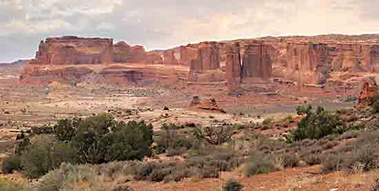 Lori Deiter LD2849 - LD2849 - Dusty Desert V - 18x9 Desert, Landscape, Photography, Shrubs from Penny Lane