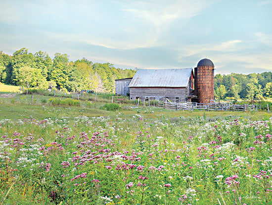Lori Deiter LD2879 - LD2879 - Summer on the Farm - 16x12 Summer on the Farm, Farm, Barn, Silo, Wildflowers, Photography, Landscape from Penny Lane