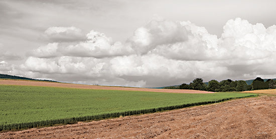 Lori Deiter LD2892 - LD2892 - Country Storm Clouds - 18x9 Farm, Fields, Clouds, Landscape, Photography from Penny Lane