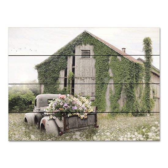 Lori Deiter LD2899PAL - LD2899PAL - Field of Flowers - 16x12 Overgrown, Barn, Farm, Truck, Flowers, Flower Truck, Vintage, Rustic, Photography from Penny Lane
