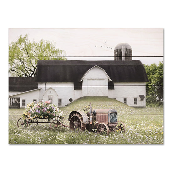 Lori Deiter LD2900PAL - LD2900PAL - Country Flower Cart - 16x12 Country Flower Car, Farm, Barn, Flowers, Tractor, Vintage, Country, Flower Cart, Photography from Penny Lane