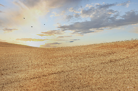 Lori Deiter LD2914 - LD2914 - Amber Waves of Grain at Sunrise - 18x12 Photography, Landscape, Nature from Penny Lane