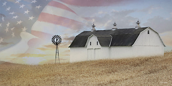 Lori Deiter LD2916 - LD2916 - Long May She Wave - 18x9 Farm, Barn, Silo, American Flag, Patriotic, Fields, Photography, Landscape from Penny Lane