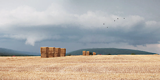 Lori Deiter LD2919 - LD2919 - Stormy Day Harvest I - 18x9 Photography, Haystacks, Harvest, Autumn, Fall, Stormy Day, Weather, Nature from Penny Lane