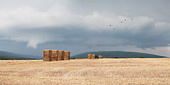 LD2919 - Stormy Day Harvest I - 18x9