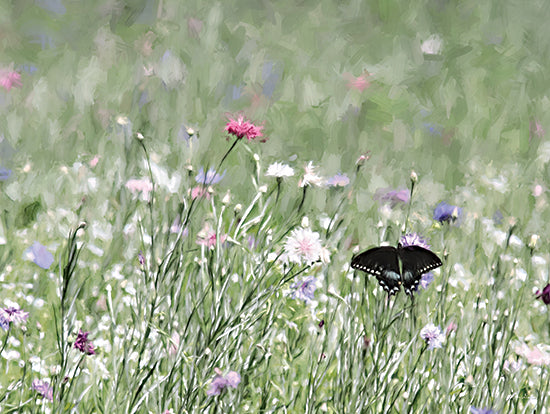 Lori Deiter LD2949 - LD2949 - Butterfly Beauty - 16x12 Photography, Butterflies, Flowers, Wildflowers, Spring, Landscape from Penny Lane