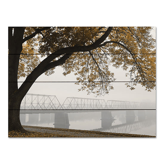 Lori Deiter LD2964PAL - LD2964PAL - Foggy Riverview - 16x12 Riverview, Fog, Trees, Morning, Photography, Bridge, Nature from Penny Lane