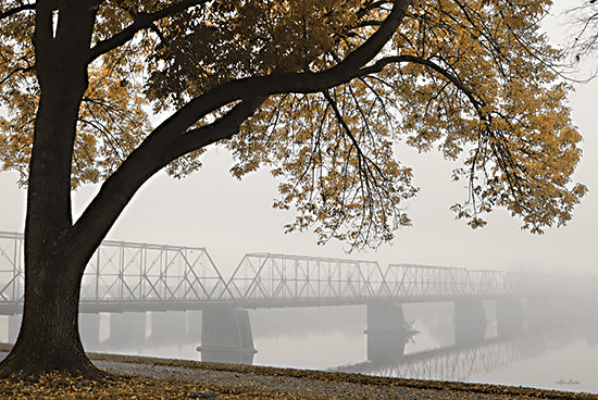 Lori Deiter LD2964 - LD2964 - Foggy Riverview - 16x12 Riverview, Fog, Trees, Morning, Photography, Bridge, Nature from Penny Lane