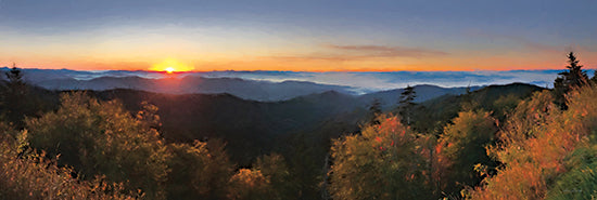 Lori Deiter LD3002A - LD3002A - Clingman's Morning Serenity - 36x12 Landscape, Photography, Mountains, Morning, Sunrise, Trees, Wildflowers from Penny Lane