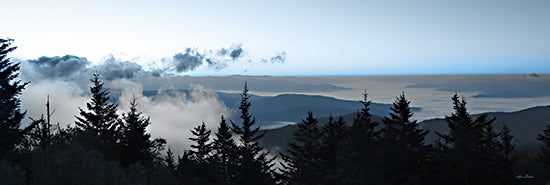 Lori Deiter LD3012A - LD3012A - Clouds in the Trees - 36x12 Landscape, Photography, Mountains, Nature, Trees, Clouds from Penny Lane
