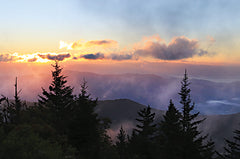 LD3015LIC - Foggy Mountain Sunrise - 0