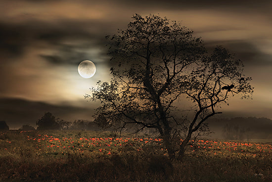 Lori Deiter LD3016 - LD3016 - When Pumpkins Glow by Moonlight - 18x12 Pumpkins, Pumpkin Patch, Farm, Trees, Moon, Nighttime, Nature, Photography, Fall, Autumn from Penny Lane