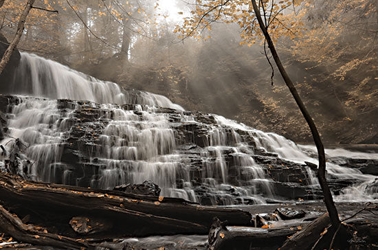 Lori Deiter LD3025 - LD3025 - Mohawk Rays of Light - 18x12 Photography, Waterfalls, Sunlight, Nature, Landscape from Penny Lane