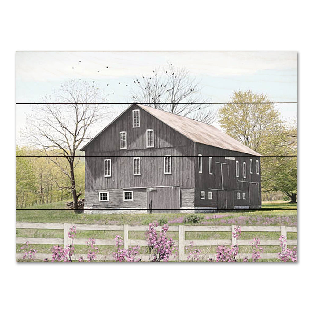 Lori Deiter LD3030PAL - LD3030PAL - A New Season - 16x12 Farm, Barn, Fence, Flowers, Purple Flowers, Photography, Summer from Penny Lane