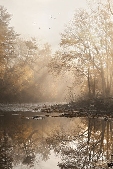 Lori Deiter LD3044 - LD3044 - Gold Reflections - 12x18 Photography, Landscape, Creek, Fall, Trees, Nature from Penny Lane