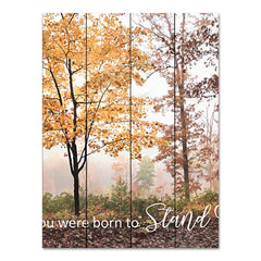 LD3046PAL - You Were Born to Stand Out - 16x12