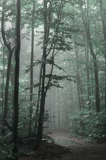 Lori Deiter LD3057 - LD3057 - Misty Forest - 12x18 Photography, Landscape, Trees, Rain, Nature from Penny Lane