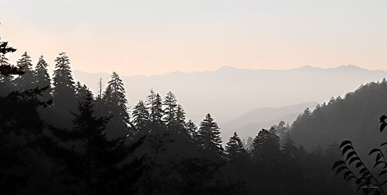 Lori Deiter LD3059 - LD3059 - Mountain Layers 1 - 18x9 Photography, Landscape, Mountains, Trees, Pine Trees from Penny Lane