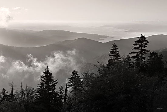 Lori Deiter LD3061 - LD3061 - Mountain Layers 3 - 18x12 Photography, Landscape, Trees, Fog, Mountains, Nature from Penny Lane