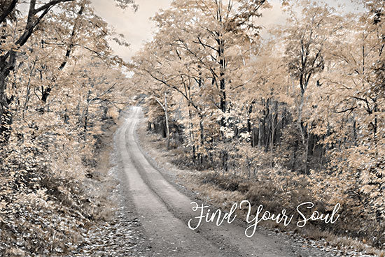 Lori Deiter LD3062 - LD3062 - Find Your Soul - 18x12 Inspirational, Find Your Soul, Typography, Signs, Paths, Forest, Trees, Landscape, Photography, Fall from Penny Lane