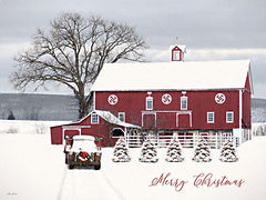 LD3093 - Country Merry Christmas - 16x12