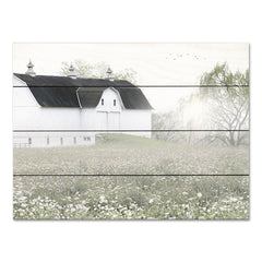 LD3101PAL - Foggy Country Barn - 16x12