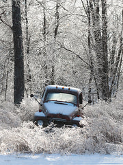 LD3111LIC - Vintage Icy Ford - 0