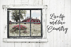 LD3122 - Live Life and Love Country - 18x12