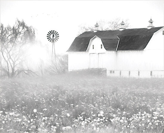 Lori Deiter LD3126 - LD3126 - Day at the Farm - 16x12  Photography, Barn, White Barn, Farm, Wildflowers, Windmill, Black & White, Farmhouse/Country from Penny Lane