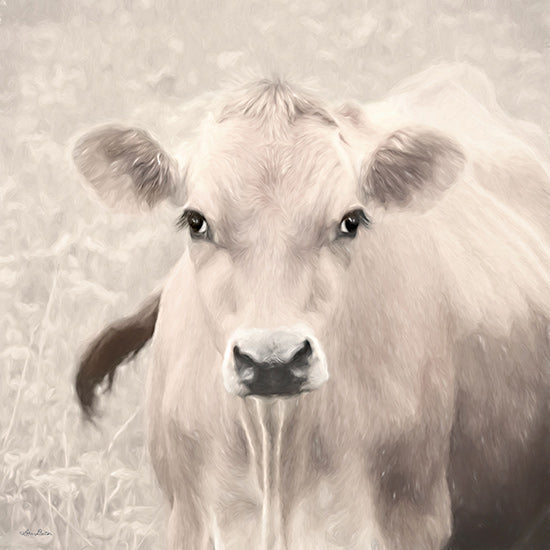 Lori Deiter LD3138 - LD3138 - Nellie - 12x12 Cow, Photography, White Cow, Farm Animal from Penny Lane