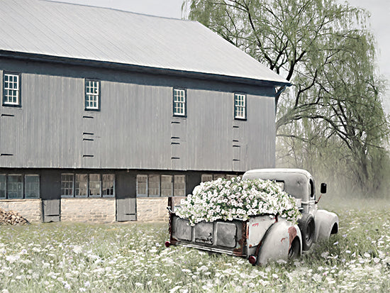 Lori Deiter LD3153 - LD3153 - Barn Daze - 16x12 Barn, Farm, Truck, Flowers, Flower Truck, White Flowers, Wildflowers, Vintage Truck, Photography from Penny Lane
