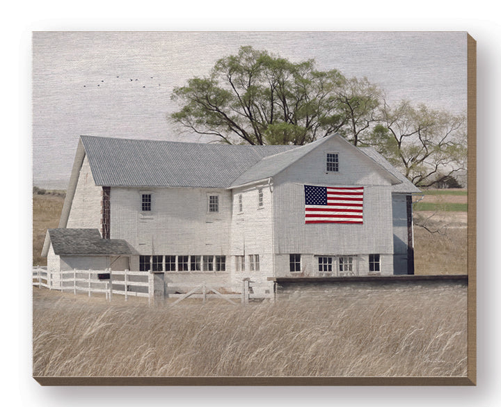Lori Deiter LD3163FW - LD3163FW - USA Patriotic Barn - 20x16 Barn, White Barn, Farm, Patriotic, American Flag, July 4th, Independence Day, Photography, Fields from Penny Lane