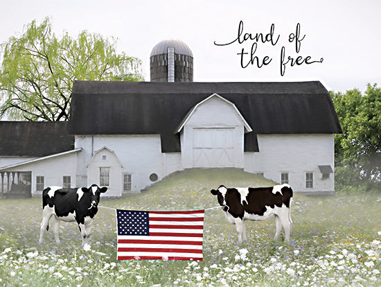 Lori Deiter LD3165 - LD3165 - Land of the Free Cows - 16x12 Patriotic, Barn, Farm, Cows, Whimsical, USA, American Flag, Independence Day, Land of the Free, Typography, Signs, Textual Art, Photography, Summer from Penny Lane