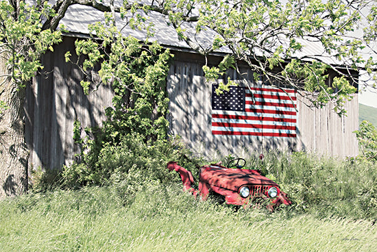 Lori Deiter LD3170 - LD3170 - Topless Jeep - 18x12 Photography, Barn, Farm, Jeep, Patriotic, American Flag from Penny Lane