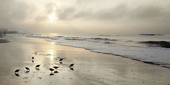 Lori Deiter LD3184 - LD3184 - Sandpipers at Sunrise - 18x9 Coastal, Birds, Sandpipers, Photography, Ocean, Landscape, Beach, Waves, Sunrise, Nature from Penny Lane