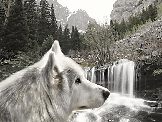 Lori Deiter LD3185 - LD3185 - Wolf Waterfall Visit - 16x12 Wolf, Animals, Landscape, Mountains, Trees, Waterfall, Photography from Penny Lane